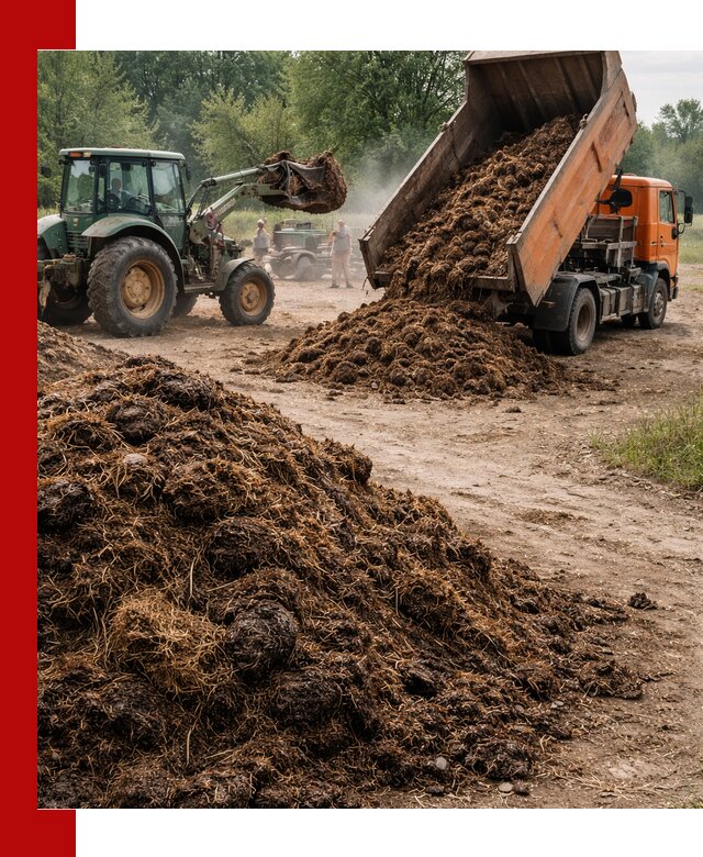 Доставка навоза самосвалами в Гудермесе для сельхозпотребностей