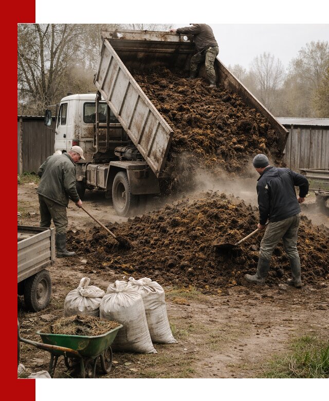 Доставка коровьего навоза самосвалом в Гудермесе